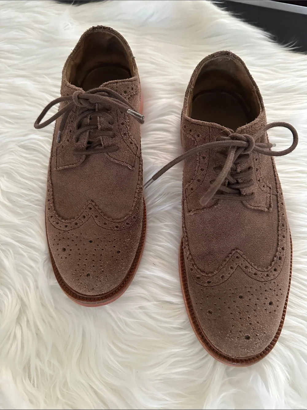 Polo by Ralph Lauren Brown Suede Wingtip Derbys